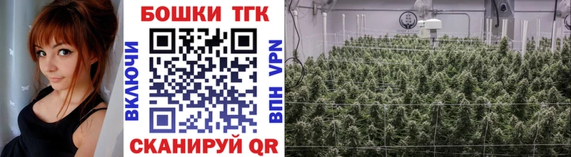 Купить наркотик аптеки Новомосковск Бошки Шишки  Альфа ПВП  КОКАИН  ГАШ  Мефедрон 