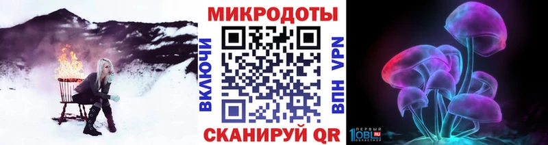 Галлюциногенные грибы Psilocybine cubensis  Новомосковск 