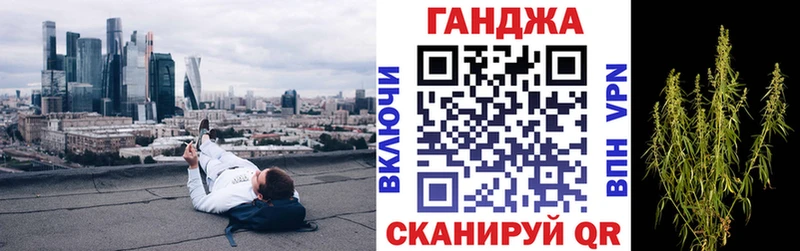магазин продажи наркотиков  Новомосковск  Конопля сатива 